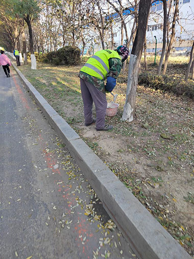 1666659465464685.jpg 5.jpg